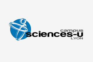 sciences u lyon ecole commerce site internet site corporate